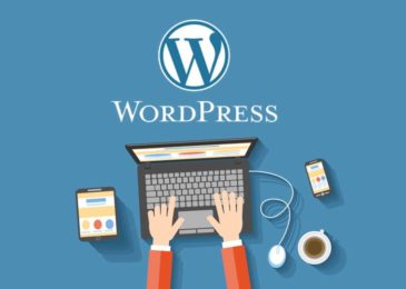 47 WordPress Statistics We Bet You Didn’t Know in 2020 – Infographic