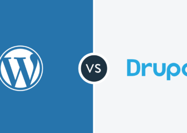 WordPress vs Drupal: Select the Best CMS Platform